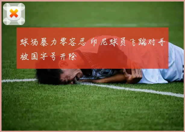 球场暴力零容忍 印尼球员飞踹对手被国字号开除
