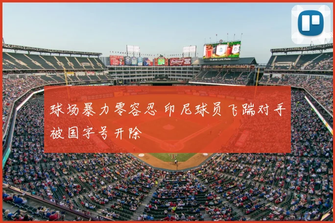 球场暴力零容忍 印尼球员飞踹对手被国字号开除