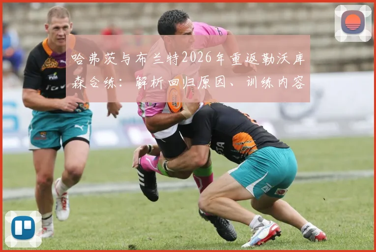 哈弗茨与布兰特2026年重返勒沃库森合练：解析回归原因、训练内容及对旧主的情感联结